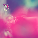 umuthicbitmez avatar