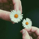 umutsuzlukmelodisi avatar