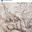 umutsuzyasamlar avatar