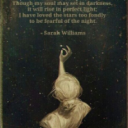 umwhydoidothistomyself avatar