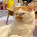 un-humano-mas avatar