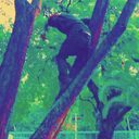 un-paseo-inmoral avatar