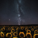 un-ricordo-per-sempre avatar