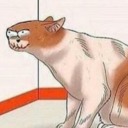 un-shit-yourself avatar