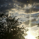 una-mente-abierta-mas avatar