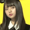 unabashedpursediplomattree avatar