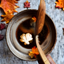 unabashedsneezelover avatar