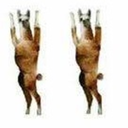 unadulteratedcontent avatar