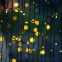 unadulteratedluminarypirate avatar