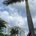 unadulteratedsoulchild avatar