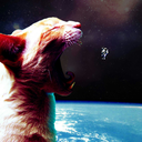 unadvertisedfry avatar