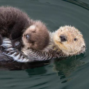 unalocaobsesionada avatar