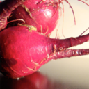 unapologeticepicurean-blog avatar