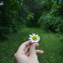 unattained-dreams avatar