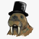 unattended-walrus avatar
