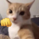 unblockmebeach avatar