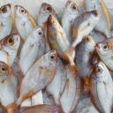 unbreakable-diamond avatar