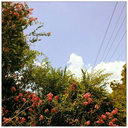 unbreakable-taurus avatar