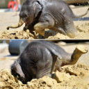 unbroken-string avatar