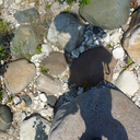 uncataloguedanduncounted avatar