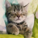 uncertain-smilez avatar