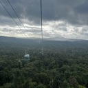 uncertainsuitarbs avatar