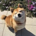 unchained-fiend avatar