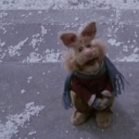 uncleboobsworld avatar