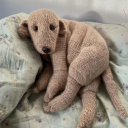 uncomfortable-sweater avatar