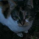 unconscioustrees avatar