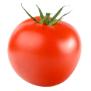 uncontroversial-tomato avatar