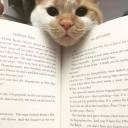 unconventional-one avatar