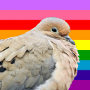 undead-mourning-dove avatar
