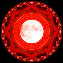 undeadmoonrabbit avatar