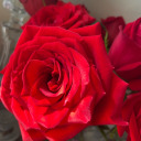 undecidedwitch avatar