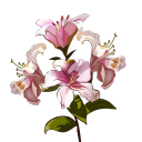 undecidingfate avatar