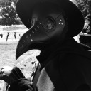 undefinedechos avatar