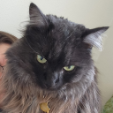 undefinedkosmos avatar