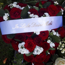 undefinierbaresgefuehl avatar