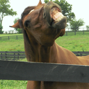 undemandingday avatar