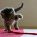 under--the--willow avatar