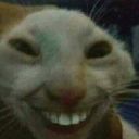 under-cow-ers avatar