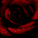 under-her-skin-blog avatar