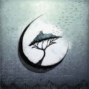 under-moonlight-dreary avatar