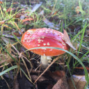 under-observation avatar