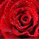 under-the-mooooon avatar