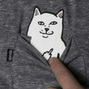 underachieving101 avatar