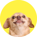 underbiteunite avatar