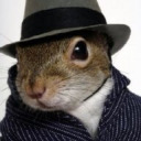 undercover-squirrel avatar