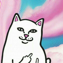 undercover-taco avatar